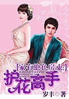 家有绝色房东：护花高手