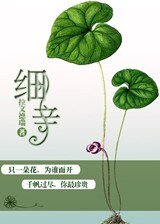 细辛