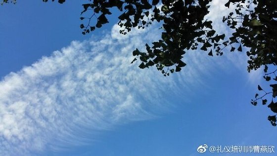 咨询师-云去云来