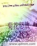 《菊花怒放》