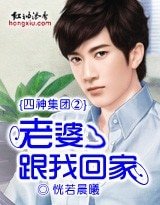 《四神集团②:老婆,跟我回家》