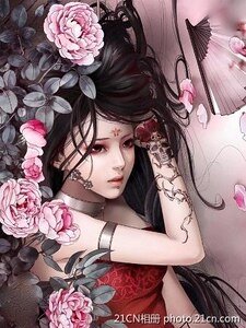 肋上蝶