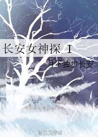长安女神探 I