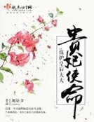 《贵妃使命:保护皇后大大》
