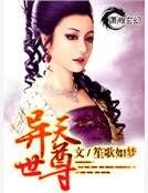 傲世玄灵师