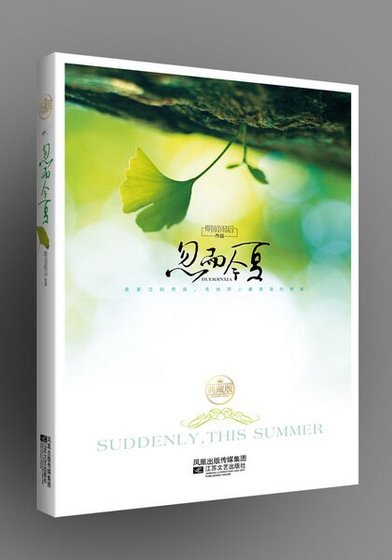 忽而今夏+续·忽而今夏/双城故事