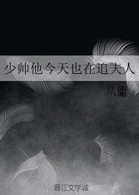 《少帅他今天也在追夫人》