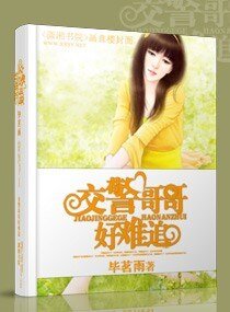交警哥哥好难追
