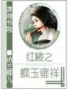 红楼之蝶玉雍祥