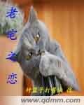 老宅之恋