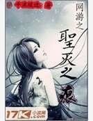 网游之圣灭之痕