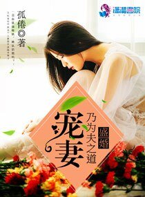 盛婚：宠妻乃为夫之道