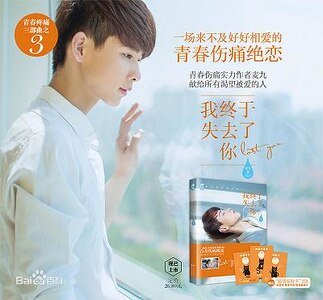 《我终于失去了你(出书版)》