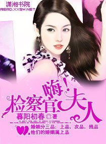 名门第一夫人/嗨，检察官夫人