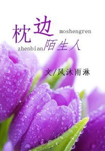 枕边陌生人