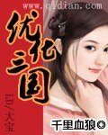 优化三国