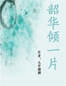 韶华倾一片