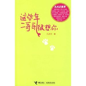 这些年,二哥哥很想你