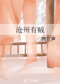 《沧州有贼》