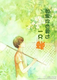 《如果你也爱过一只蝉》