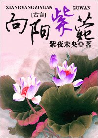 《向阳紫菀》