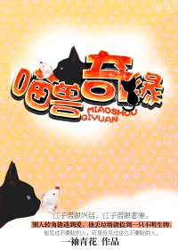 喵兽奇缘
