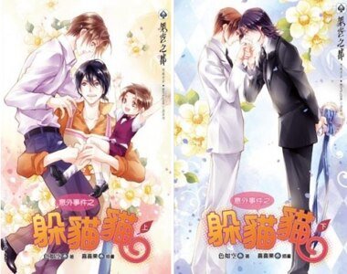 意外事件之躲猫猫（出书版）