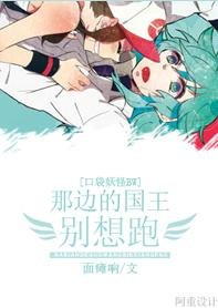 (口袋妖怪BW同人)那边的国王别想跑!
