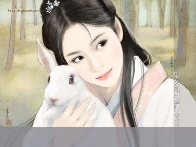兔女郎西游记+金瓶梅花几月开（奇书列传）