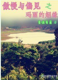 （傲慢与偏见同人）傲慢与偏见之玛丽的姻缘