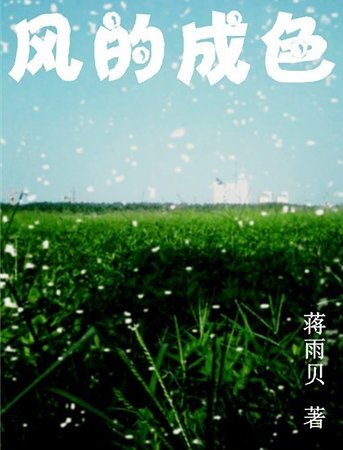 《风的成色》