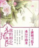 我的相公是张良