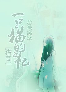 《(猎人同人)一只猫的回忆》