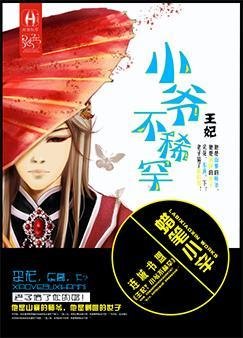 《王妃?小爷不稀罕》