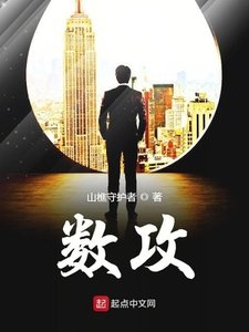 《数攻》