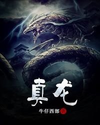 《真龙》