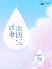 甜妻一胎四宝