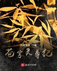 《苍穹灵尊纪》