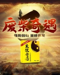 废柴奇遇3之命运轮回