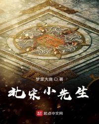《北宋小先生》