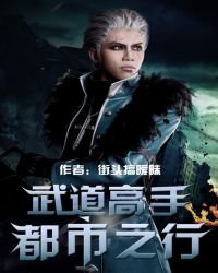 武道高手都市之行