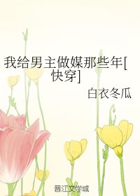 我给男主做媒那些年