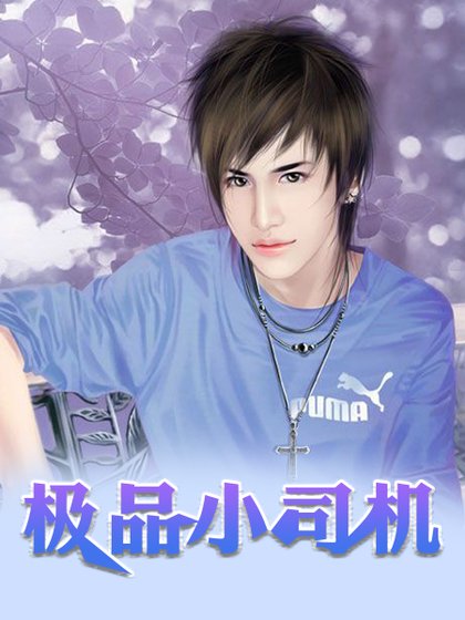 极品小司机