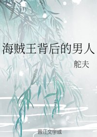 （海贼王同人）海贼王背后的男人