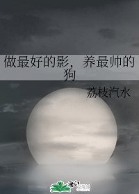 （火影同人）做最好的影，养最帅的狗