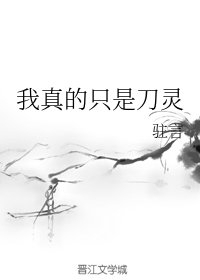 （陈情令同人）我真的只是刀灵