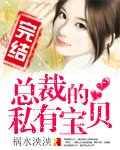 《总裁的私有宝贝》