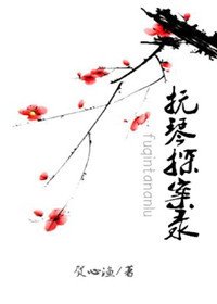 《抚琴探案录》