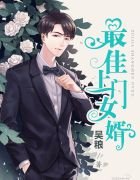 《最佳上门女婿》