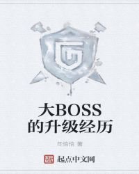 《大BOSS的升级经历》